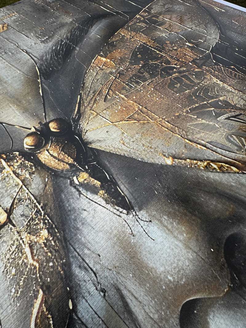 Butterfly Eyes - Aluminium + Varnish