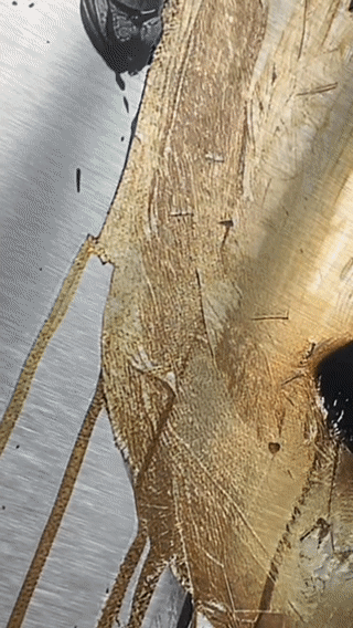 Hidden Emotions - Aluminium + Varnish