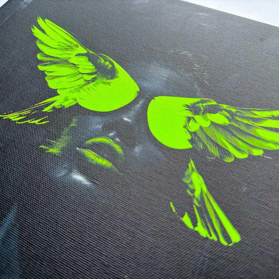 Paukščio Sparnai – Drobė Su Neonu