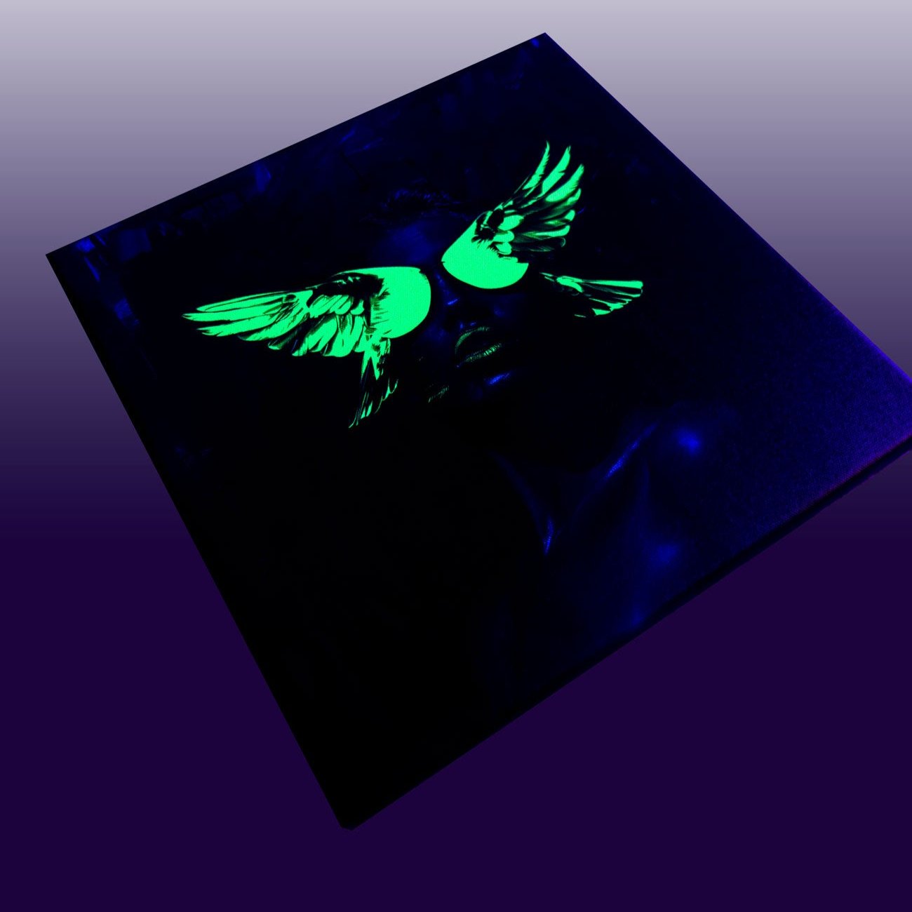 Paukščio Sparnai – Drobė Su Neonu