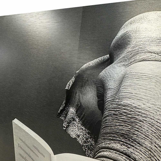 Toilet Elephant - Aluminium