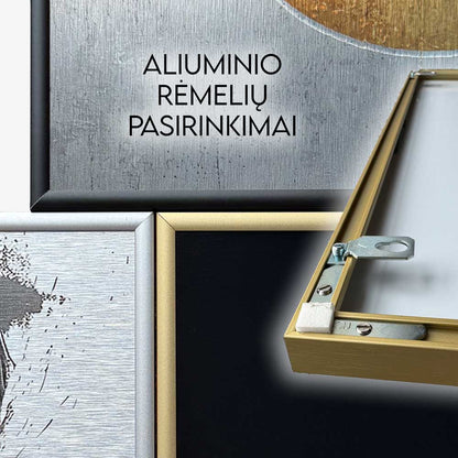 Elegantiška Dama - Aliuminio Paveikslas