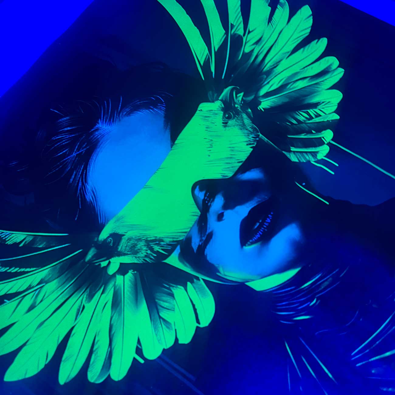 dark background wall art modern neon print glow in the dark woman parrot green neon glasses wings
